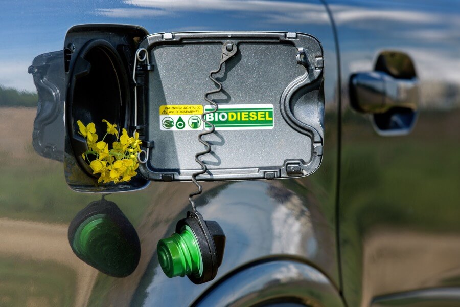 Vehicle fuel cap featuring a rapeseed plant to illustrate bio-based fuels and ASTM D6866 analysis