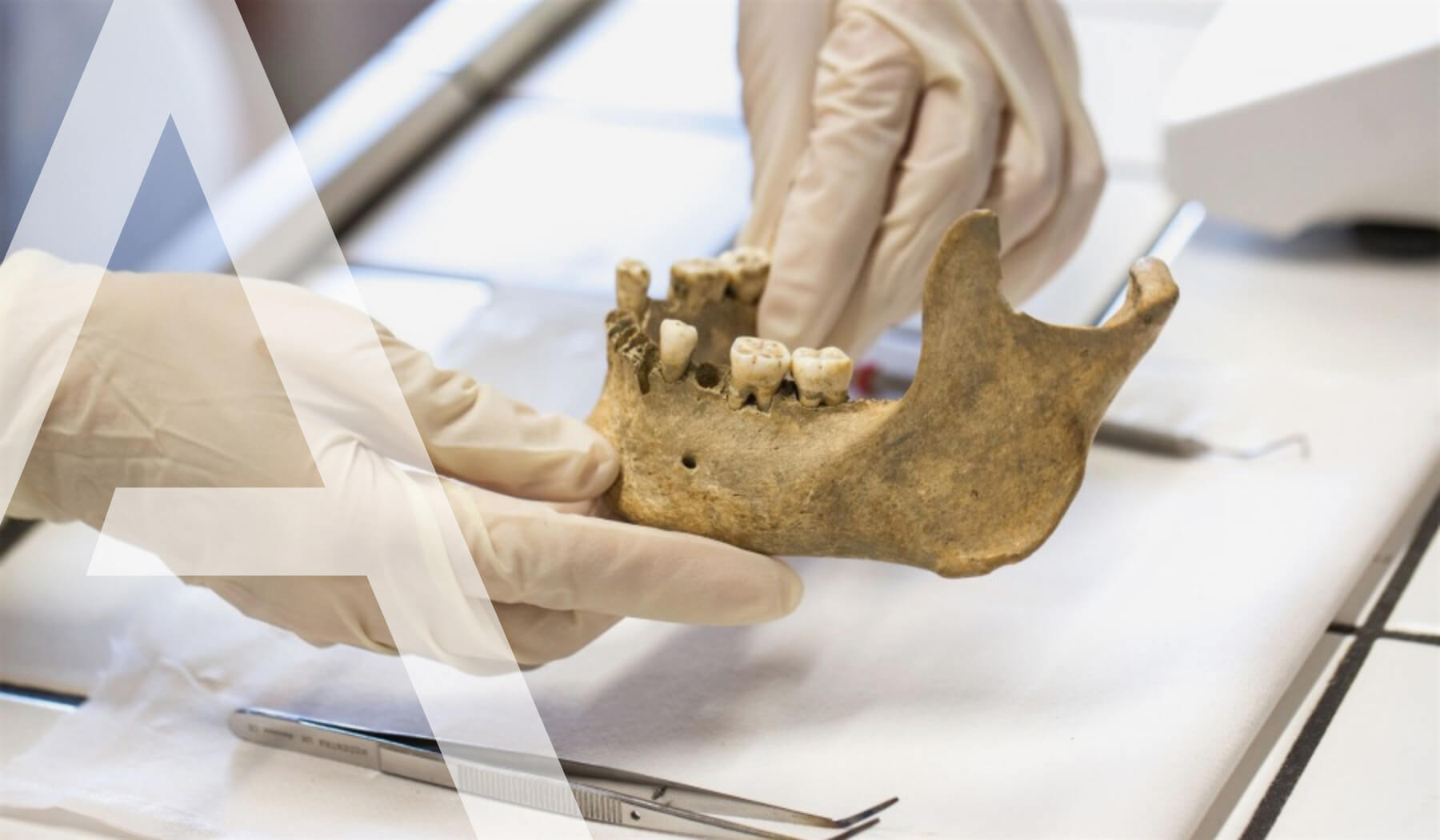 datation c14 ossements ciram