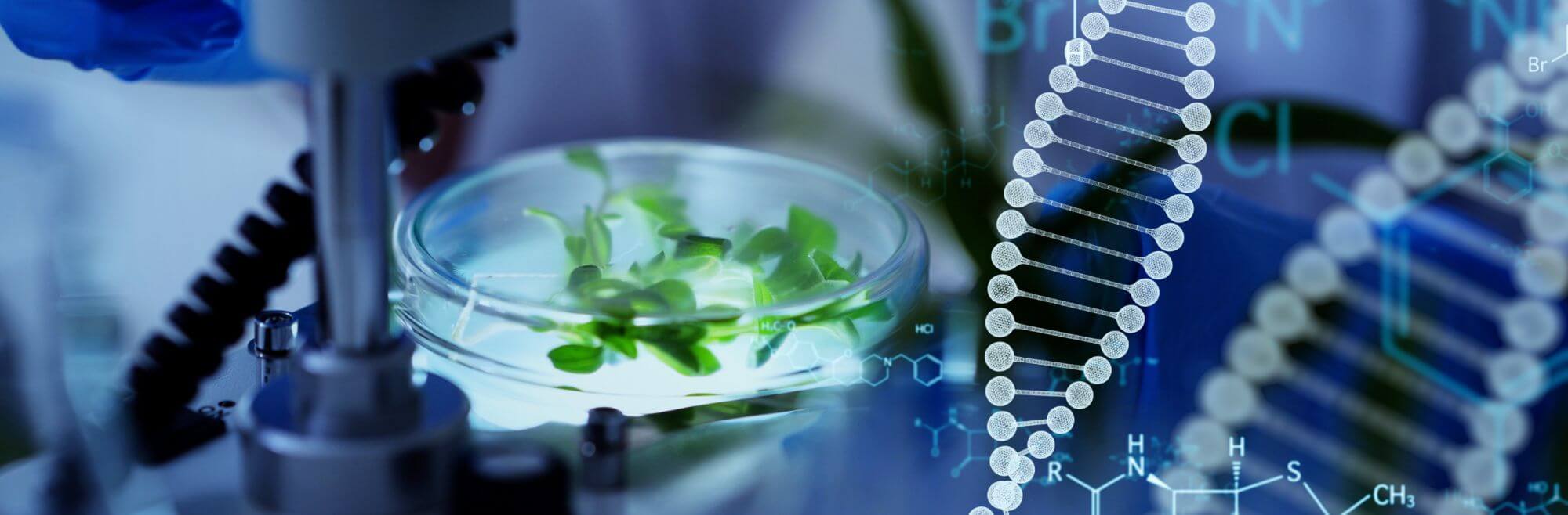 TESTING AND ANALYSIS OF BIOBASED PRODUCTS