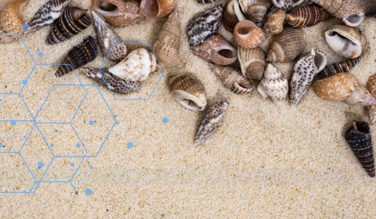 organismes marins ciram2x