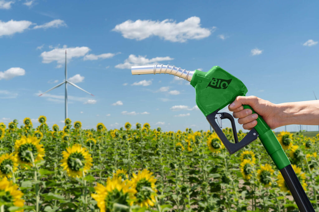 Analyse du carbone biogénique : biocarburants, CSR et émissions de CO₂