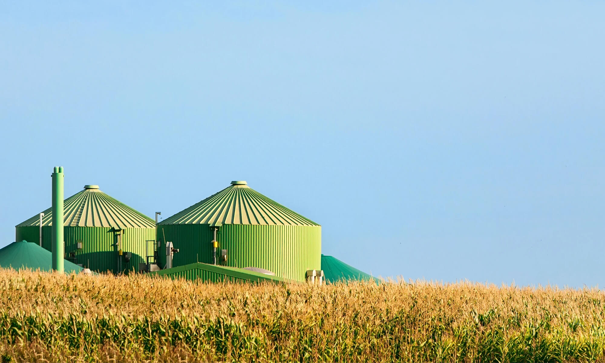 Biogas plant surrounded by corn fields