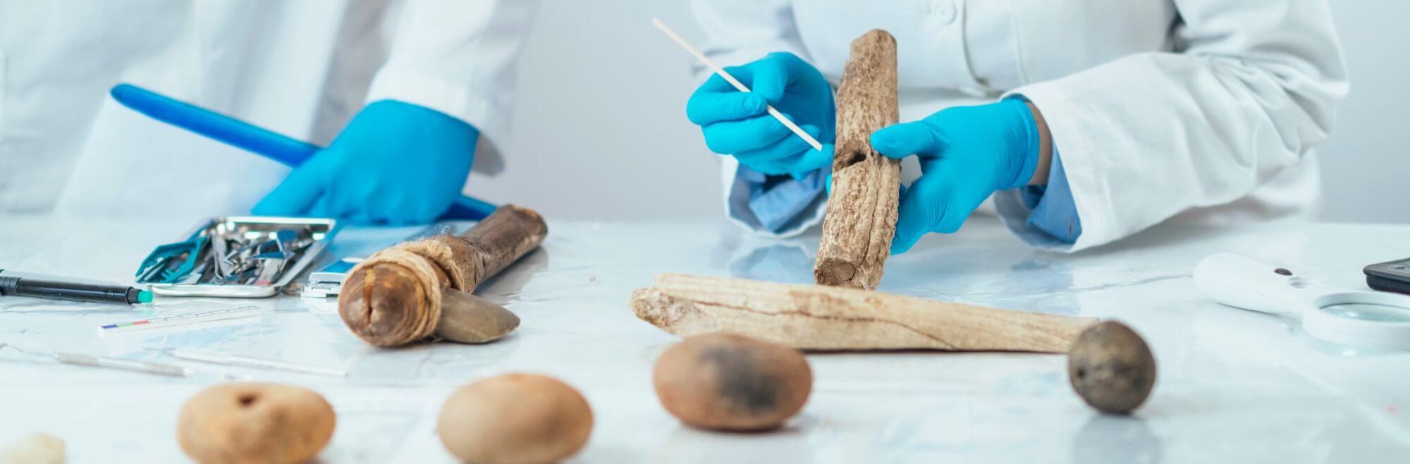 Archaeology
