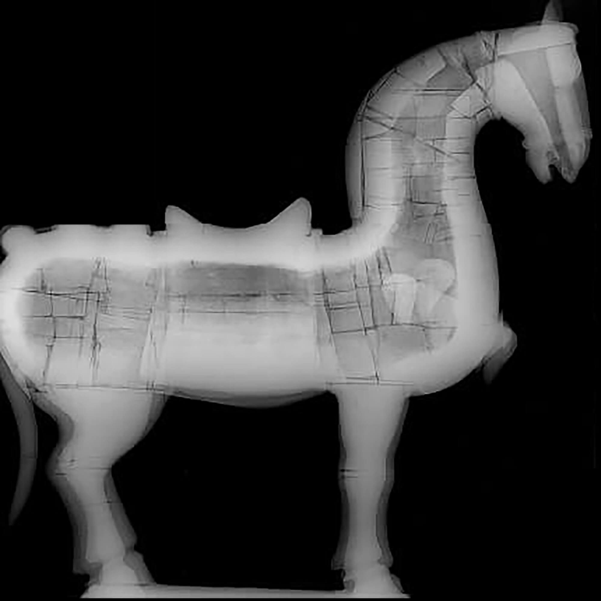 Objet d’art en forme de cheval analysé par tomodensitométrie (CT scan) et imagerie