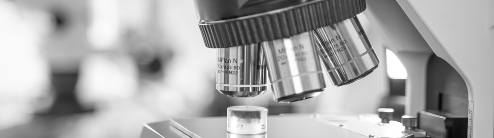 Anthracologie/Xylologie