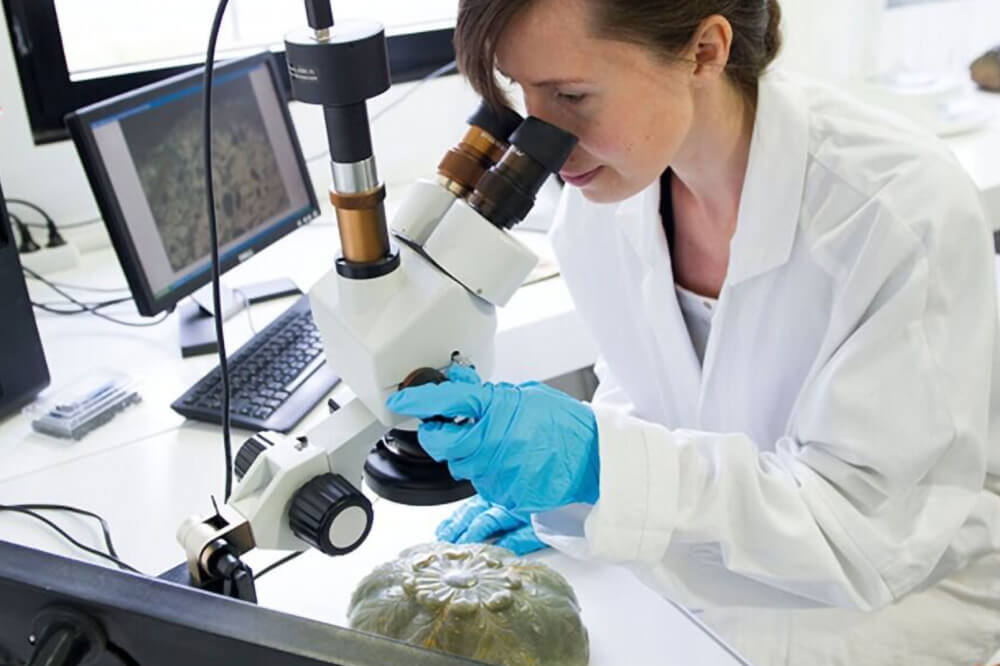 img techniques de caracterisation