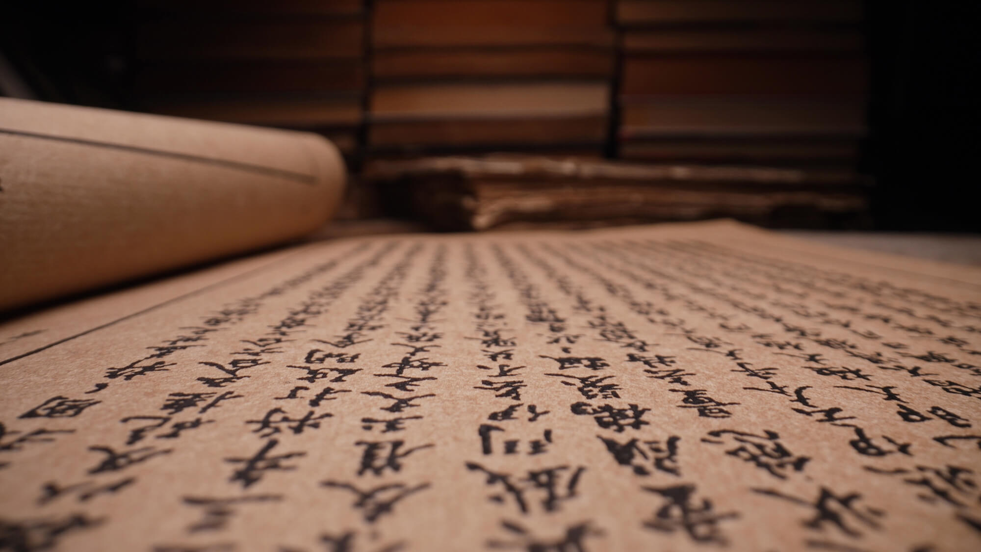 shutterstock 2596979135