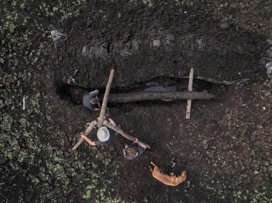 Extraction d'un bois "morta" par les ateliers JHP